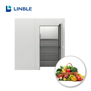 Sala fria de 100CBM para frutas e legumes